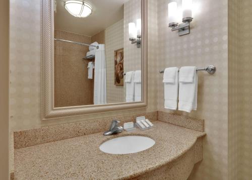 圣地亚哥圣地亚哥德尔马希尔顿花园酒店的浴室配有盥洗盆、镜子和毛巾