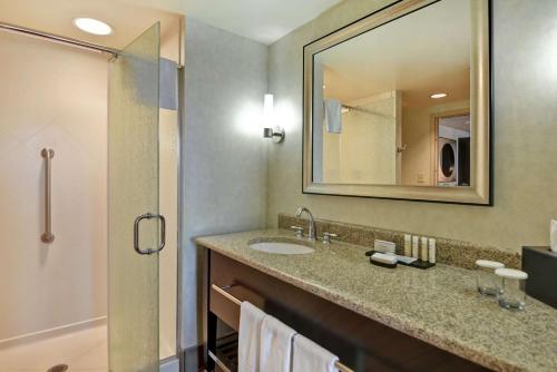 萨凡纳恩柏西萨凡纳机场酒店的一间带水槽、镜子和淋浴的浴室