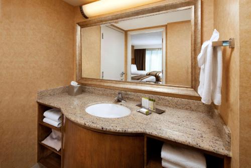 安纳海姆阿纳海姆希尔顿双树套房度假酒店&会议中心的一间带水槽和镜子的浴室