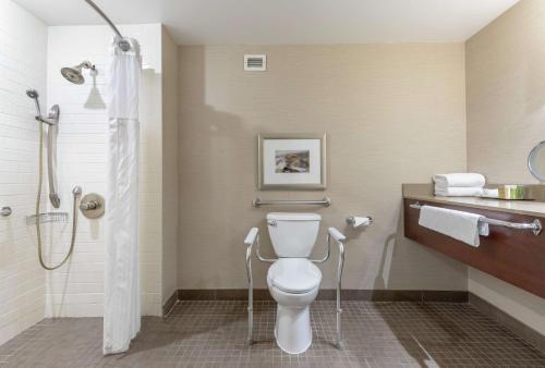 圣约翰圣约翰希尔顿酒店的一间带卫生间和淋浴的浴室