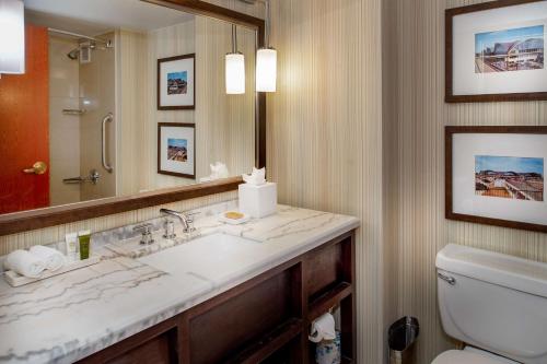 伍德森特瑞斯圣路易斯机场希尔顿酒店的一间带水槽、卫生间和镜子的浴室