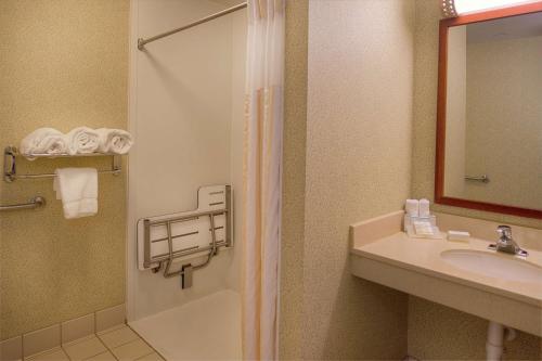 奥法隆圣路易斯/奥法隆希尔顿花园酒店的带淋浴和盥洗盆的浴室