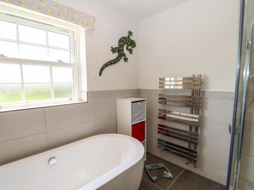 彭里斯Larch House的带浴缸和窗户的浴室以及墙上的蜥 ⁇ 