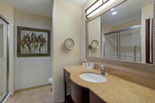 惠灵顿惠灵顿汉普顿套房酒店的一间带水槽、镜子和卫生间的浴室
