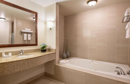 埃德蒙顿西埃德蒙顿希尔顿花园酒店的带浴缸、水槽和镜子的浴室