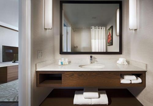 多瓦尔蒙特利尔机场希尔顿花园酒店的一间带水槽和大镜子的浴室