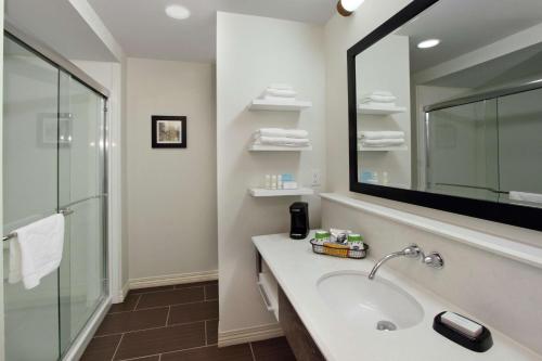 里奇兰里奇兰/南杰克逊汉普顿酒店的一间带水槽、淋浴和镜子的浴室