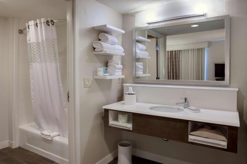 布莱斯加利福尼亚州布莱斯汉普顿酒店及套房的一间带水槽、镜子和淋浴的浴室
