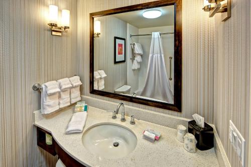 孟菲斯孟菲斯/孟菲斯沃尔夫卡瑟佳乐利希尔顿花园酒店的一间带水槽和大镜子的浴室