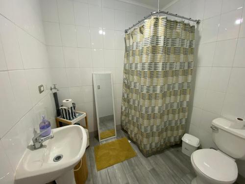 瓦尔帕莱索Oasis en Cerro Alegre的浴室配有卫生间、盥洗盆和淋浴。