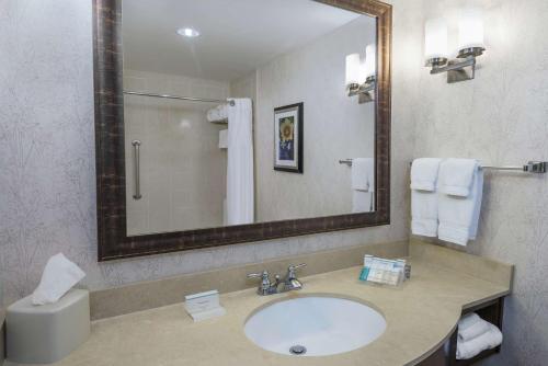 圣安东尼奥圣安东尼奥/瑞姆帕斯得里弗希尔顿花园酒店的一间带水槽和镜子的浴室