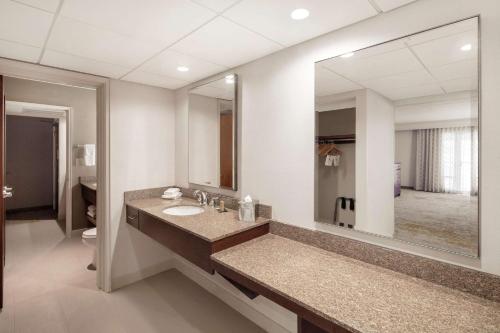 安大略希尔顿安大略机场逸林酒店的一间带水槽和大镜子的浴室