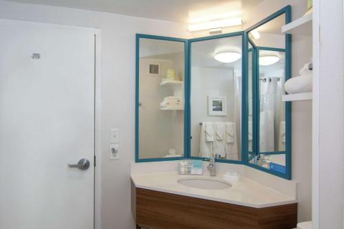 萨默斯维尔萨默斯维尔汉普顿酒店的一间带水槽和镜子的浴室