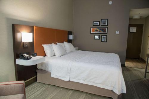 萨默斯维尔萨默斯维尔汉普顿酒店的配有一张大床和一部电话的酒店客房