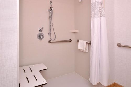 奥马哈奥马哈市中心区 - 阿克萨汉普顿酒店的带淋浴和卫生间的浴室