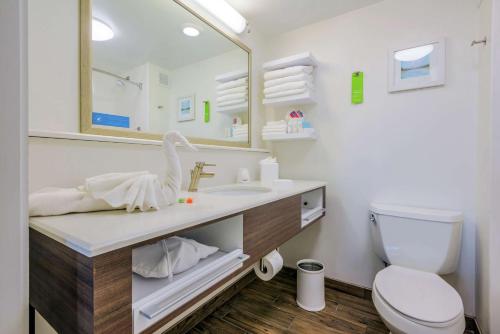 坦帕坦帕国际机场/西岸汉普顿酒店的一间带卫生间、水槽和镜子的浴室