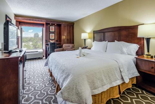 坦帕坦帕国际机场/西岸汉普顿酒店的酒店客房设有一张大床和一台电视。
