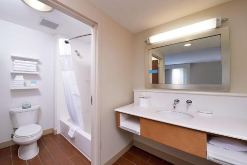 Lonoke希尔顿洛诺克汉普顿套房酒店的一间带水槽、卫生间和镜子的浴室