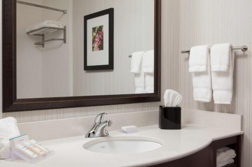 贝滕多夫贝滕多夫库德市希尔顿花园酒店的浴室配有盥洗盆、镜子和毛巾