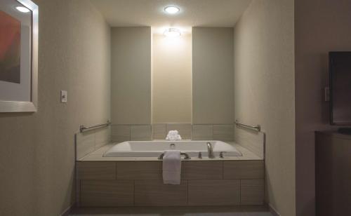 波林布鲁克布鲁克I-55希尔顿花园酒店的一间带大镜子和浴缸的浴室