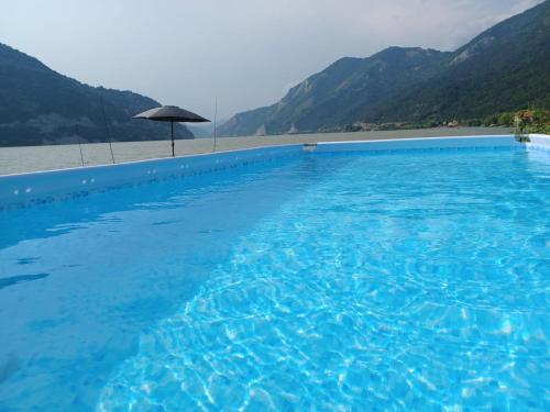 VârtopuVILA SARA的一个带遮阳伞的大型游泳池