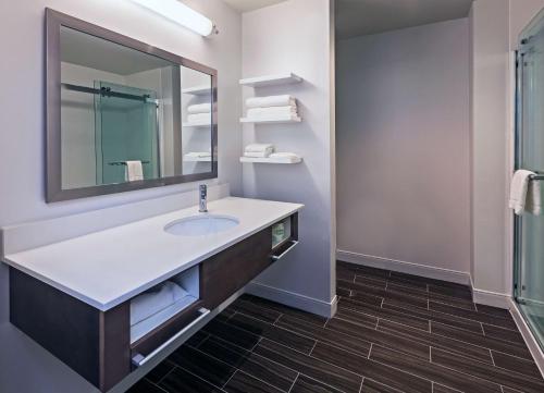乔治城德克萨斯乔治敦/北奥斯汀汉普顿酒店及套房的一间带水槽和镜子的浴室