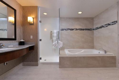 霍布斯霍布斯希尔顿花园酒店的带浴缸和盥洗盆的大浴室
