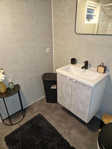 皮滕Chalet in Putten的浴室设有白色水槽和镜子
