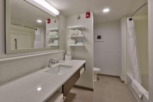 阿蒂西亚阿蒂西亚汉普顿套房酒店的一间带水槽、镜子和卫生间的浴室