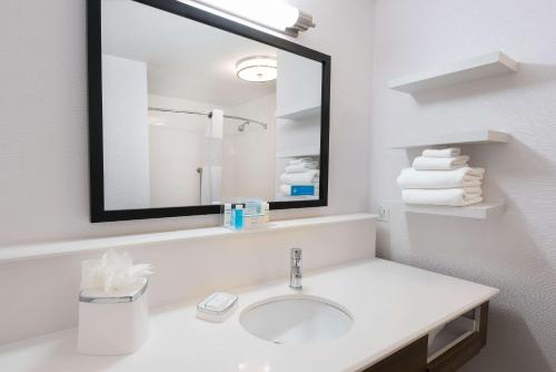 圣安东尼奥Hampton Inn & Suites San Antonio Brooks City Base, TX的一间带水槽和镜子的浴室