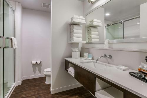 达拉斯达拉斯中环/北公园区汉普顿酒店的一间带水槽、卫生间和镜子的浴室