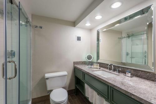 盖恩斯维尔盖恩斯维尔希尔顿逸林酒店的一间带卫生间、水槽和镜子的浴室
