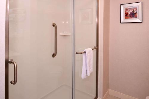 East Greenbush纽约奥尔巴尼东格林布什套房汉普顿酒店的浴室里设有玻璃门淋浴