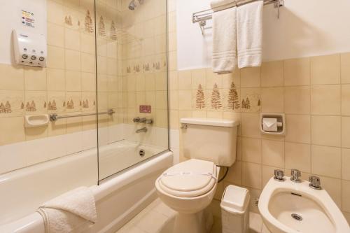 拉巴斯El Rey Palace Hotel的浴室配有卫生间、淋浴和盥洗盆。