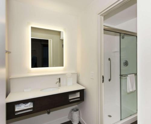 明尼阿波利斯明尼苏达州明尼阿波利斯大学区旅馆及套房汉普顿酒店的一间带水槽和镜子的浴室