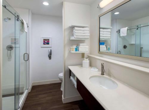 新帕尔茨纽约新帕尔茨希尔顿汉普顿酒店的一间带水槽、淋浴和镜子的浴室