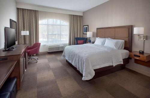 新帕尔茨纽约新帕尔茨希尔顿汉普顿酒店的配有一张床和一台平面电视的酒店客房