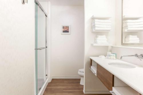NilesHampton Inn & Suites Niles/Warren, OH的带淋浴、盥洗盆和卫生间的浴室