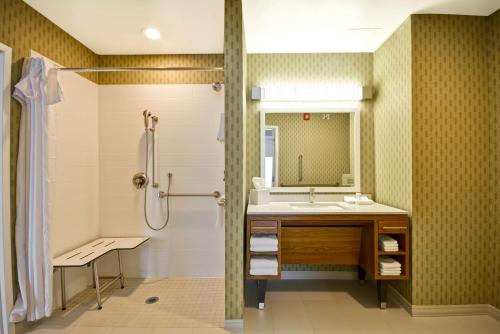 埃文斯维尔埃文斯维尔希尔顿欣庭套房酒店的一间带水槽和淋浴的浴室