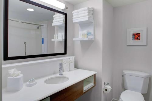 曼切斯特Hampton Inn & Suites Manchester, Vt的一间带水槽、卫生间和镜子的浴室