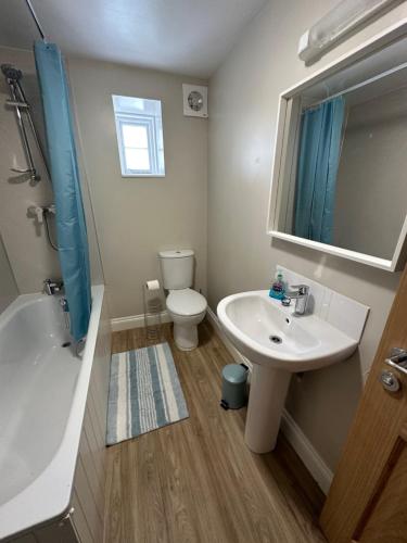 索尔兹伯里Executive Barchester House Apartment的一间带水槽、卫生间和镜子的浴室