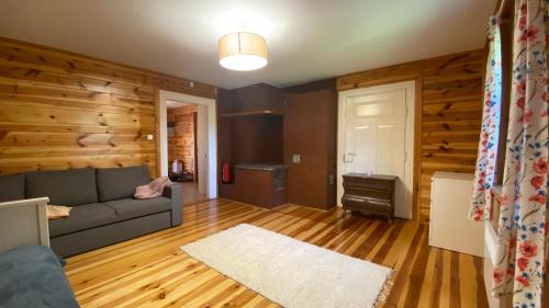 Siedlisko Rozalin的带沙发和木墙的客厅