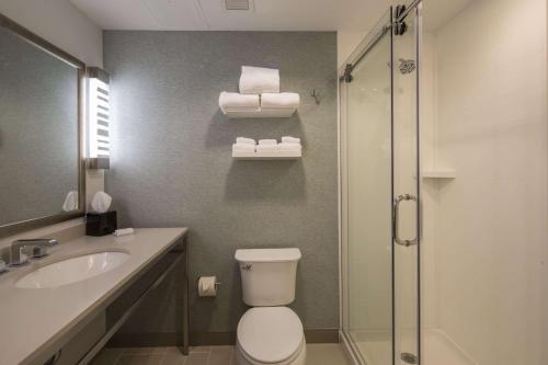月球乡匹兹堡机场希尔顿花园酒店的浴室配有卫生间、盥洗盆和淋浴。