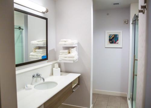 庞蒂亚克庞蒂亚克汉普顿酒店的一间带水槽和镜子的浴室