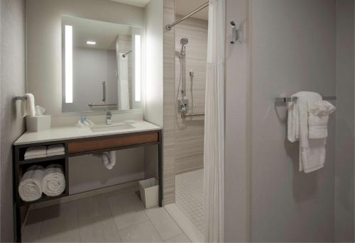 沃索Hilton Garden Inn Wausau, WI的一间带水槽、镜子和淋浴的浴室