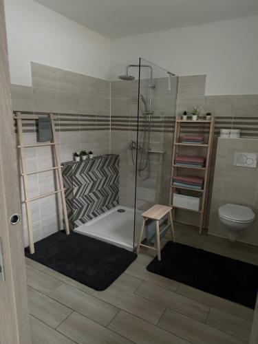 NezdeniceApartmán的带淋浴和卫生间的浴室