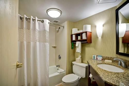 费尔蒙特费尔蒙特汉普顿酒店的浴室配有卫生间、盥洗盆和淋浴。