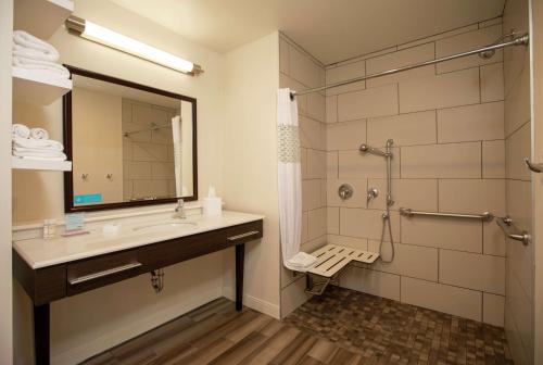 科尔特斯梅萨维德/科尔特斯汉普顿酒店的一间带水槽和淋浴的浴室