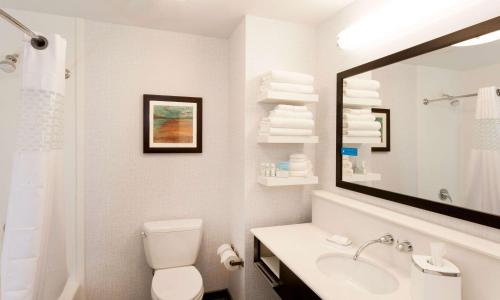 德卢斯Hampton Inn & Suites Duluth North Mn的一间带卫生间、水槽和镜子的浴室
