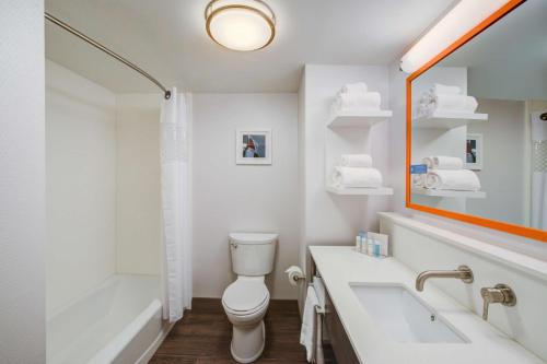 威克瑟姆密歇根威克瑟姆/诺维/底特律汉普顿酒店的浴室配有卫生间、盥洗盆和浴缸。